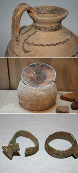 patrimonio: le collezioni.