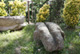 Museo Archeologico di Ozieri - Giardino lapidario.